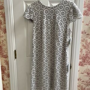 Silver lace, above the knee, NWT, dress, Size 14.